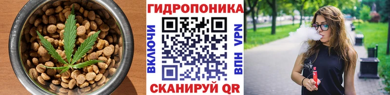 Еда ТГК марихуана  Аша 
